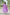 Malishka Women's Lavender Faux Georgette Embroidered Anarkali Kurta Pant With Dupatta - Distacart