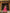 Malishka Export Rani Soft Silk With Mirror Work Lehenga Choli Set - Rani - Distacart