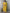 Malishka Women's Yellow Viscose Chanderi Embroidered Straight Kurta with Pant And Dupatta Set