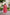 Malishka Womens Printed Red Georgette Ethnic Dress - Distacart