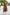Malishka Womens Printed Brown Georgette Ethnic Dress - Distacart