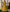 Malishka Women's Yellow Fully Stitched Georgette Printed Anarkali Gown - Distacart
