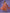 Malishka Women's Orange Fully Stitched Georgette Printed Anarkali Gown - Distacart