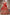 Malishka Women's Silk With Zari Work Semi-Stitched Lehenga Choli Set - Distacart