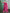 NOZ2TOZ Women's Cotton Pink Printed Designer Saree With Blouse Piece - Distacart