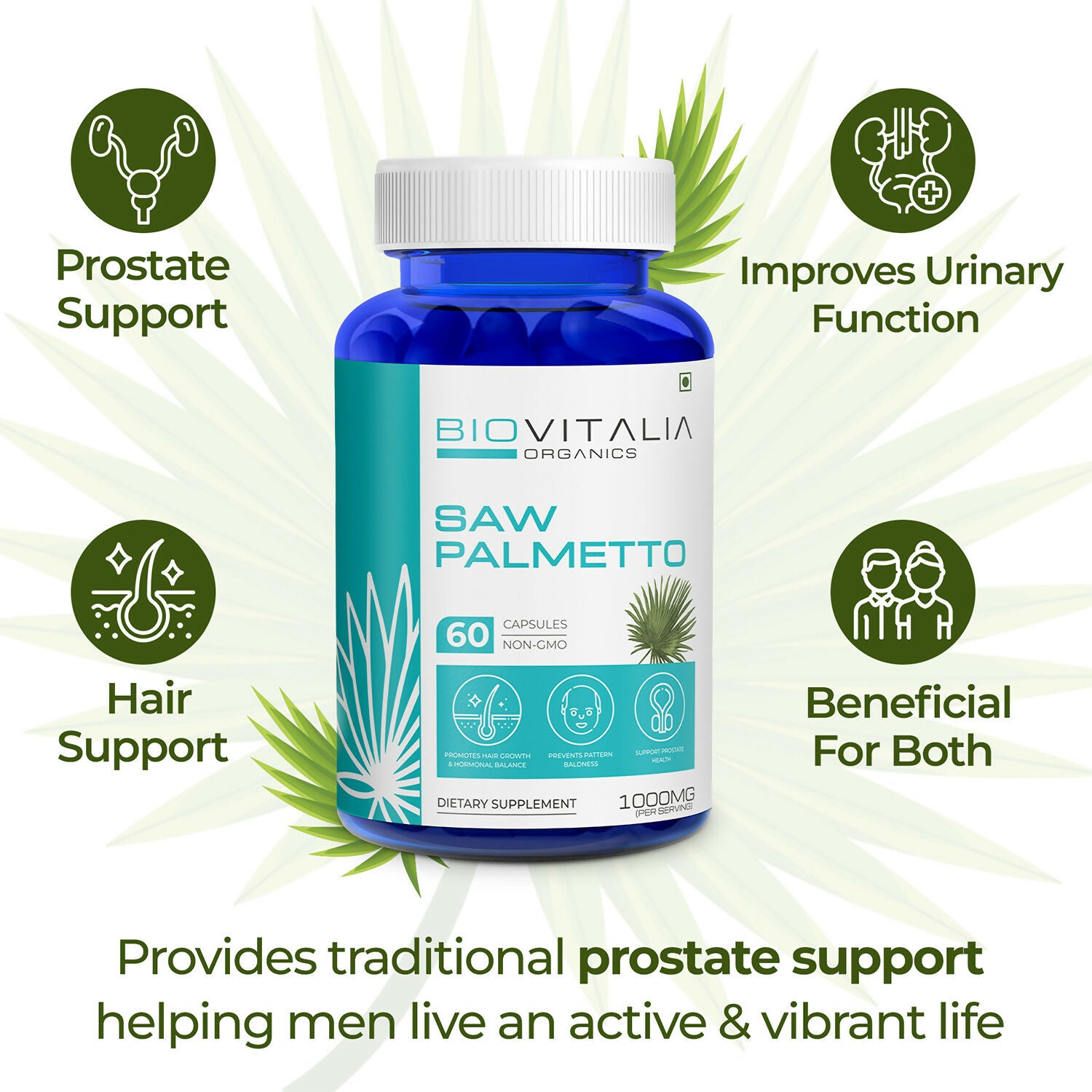 Saw Palmetto_3