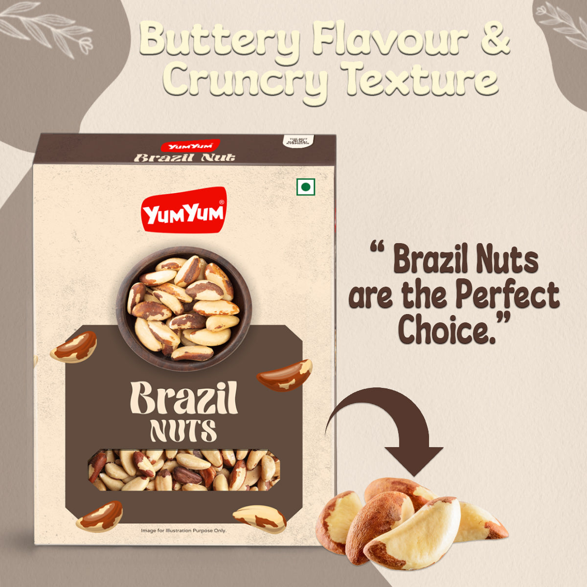 Yum Yum Brazil Nuts Box - Dista