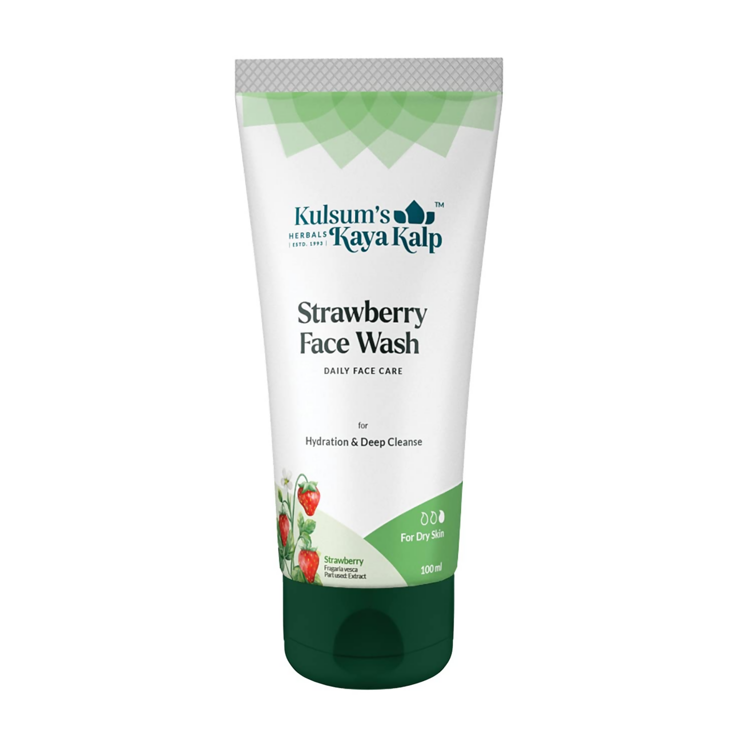 download - 2024-09-25T173031.024