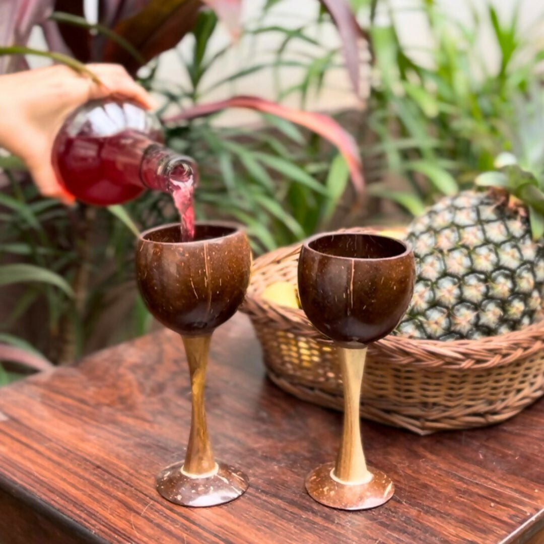 Thenga Coconut Shell & Wooden Wine Glasses - Dista