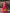 Evanik Women South-Style Kanchipuram Silk Stitched Lehenga With Unstitched Blouse & Dupatta