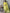 The52 Yellow Embroidered Rayon Fabric Straight Kurta, Pant and Dupatta Set