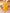 Malishka Women's Yellow Rayon Embroidered Straight Kurta Pant With Dupatta - Distacart