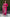 Lorenvalley Fashion Magenta Roman Silk Embroidery Multi Work Kurta Pant with Dupatta