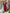The52 Women's Gorgeous Rayon Embroidery Straight Kurta with Pant And Dupatta Set