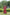 Lorenvalley Maroon Cotton Printed With Kutchi Gamthi Work and Kodi Lace Gown
