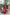 Lorenvalley Maroon Roman Silk Floral Print With Beets Handwork Kurta Set - Distacart