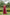 Lorenvalley Maroon Rayon Contrast of Printed with Kutchi Gamthi work Gown