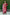 Lorenvalley Fashion Maroon Roman Silk Hand Work Kurta Pant with Dupatta
