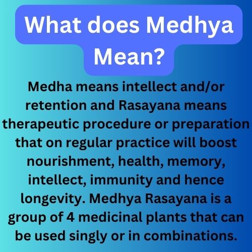 Songara Medhya Rasayana Powder - Dista