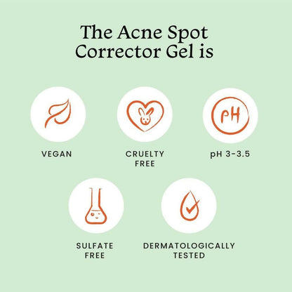 Foxtale Acne Spot Corrector Gel - Reduces Pimples Overnight and Prevents Acne Scars - Distacart