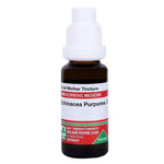 Thumbnail for Adel Homeopathy Echinacea Purpurea Mother Tincture Q