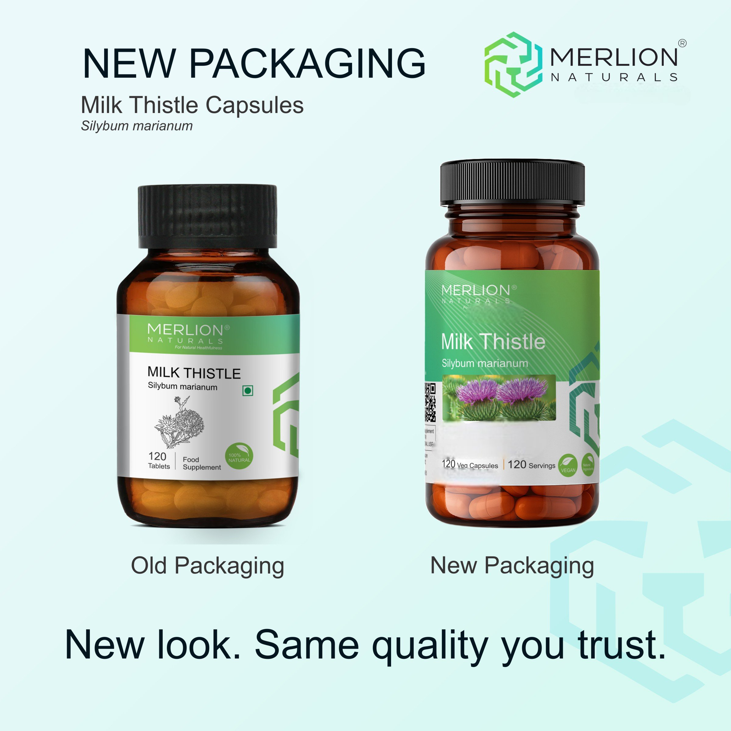 Merlion Naturals Milk Thistle 500mg Capsules - Dista