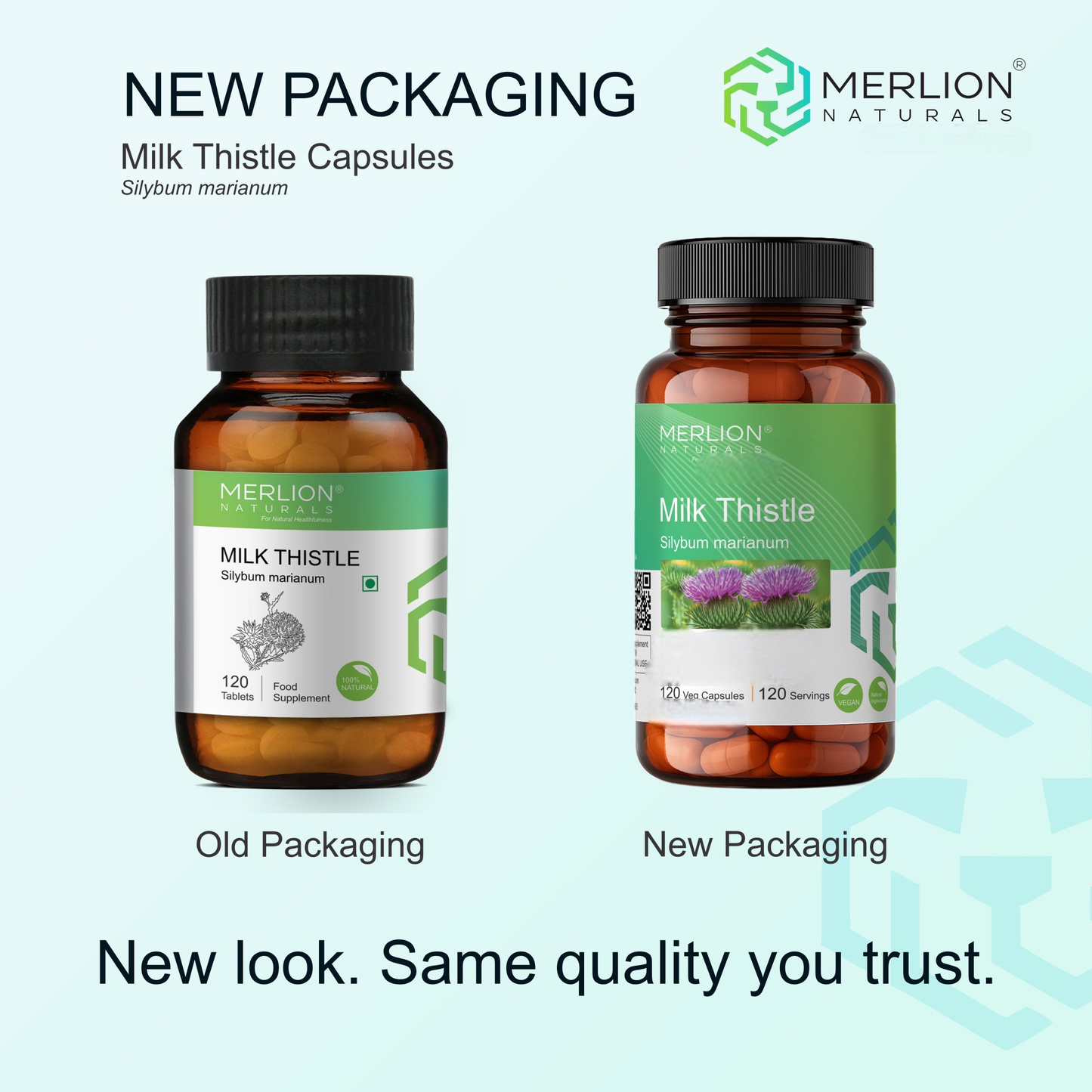 Merlion Naturals Milk Thistle 500mg Capsules - Dista