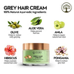 Thumbnail for Ivory Natural Cream For Greys Restore Natural Hair Color - Distacart