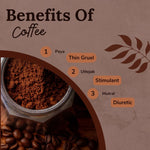 Thumbnail for Songara Coffee (Coffea Arabica) - Dista