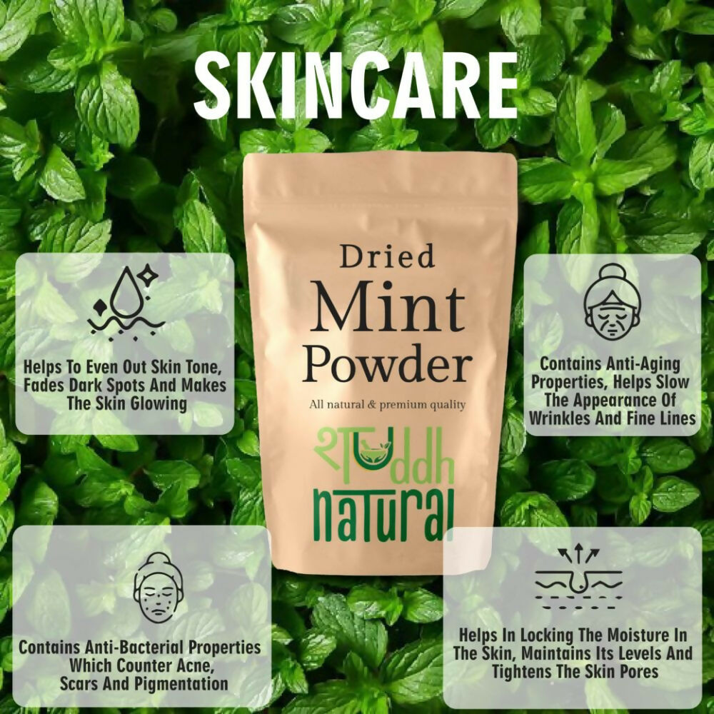 Shuddh Natural Mint Powder - Aromatic Flavor - Distacart