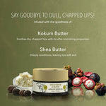 Thumbnail for Shea & Kokom Lip Butter 1500x1500 4
