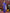 Vedant Vastram Royal Blue Color Paithani Silk Saree - Royal Blue - Distacart