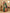 Vedant Vastram Bottle Green Color Paithani Silk Saree - Bottle Green - Distacart