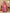 Vedant Vastram Pink Color Paithani Silk Saree - Pink - Distacart