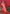 Vedant Vastram Red Color Kanjeevaram Silk Saree - Red - Distacart