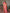 Vedant Vastram Tissue Silk Paithani Silk Saree - Orange - Distacart