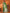 Vedant Vastram Soft Litchi Silk Banarasi Silk Saree - Mahendi - Distacart