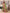 Vedant Vastram Tissue Silk Paithani Silk Saree - Parrot - Distacart