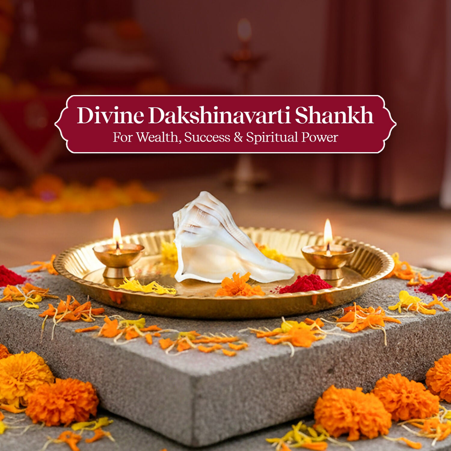 Pujashree Dakshinavarti Shankh – Sacred Hindu Conch For Puja - Dista