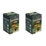 Thumbnail for Nature Sure Ganoderma Ling Zhi Reishi Mushroom Capsules - Distacart