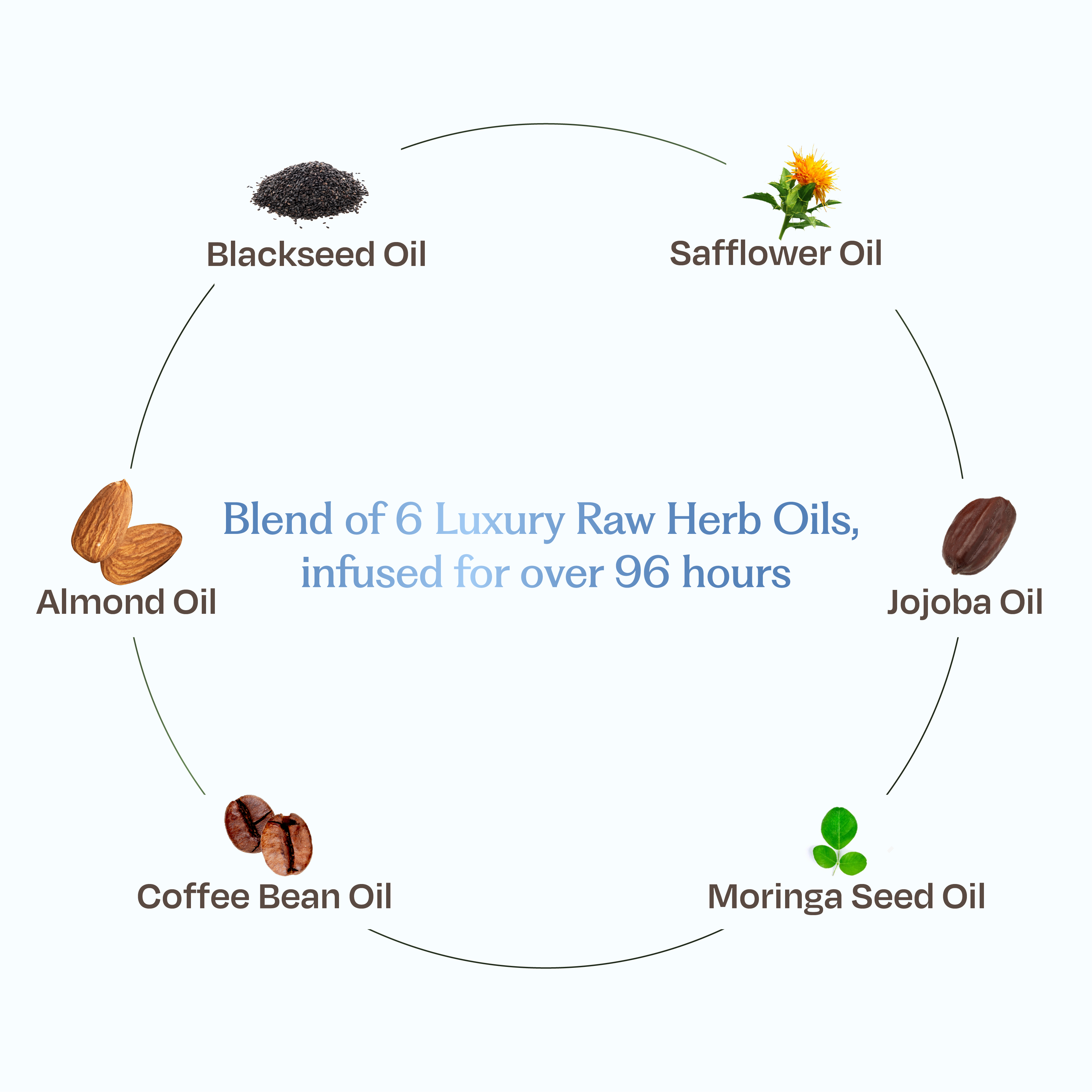 Sacred Grove Coffee Bean & Blackseed Nourishing Hair Oil