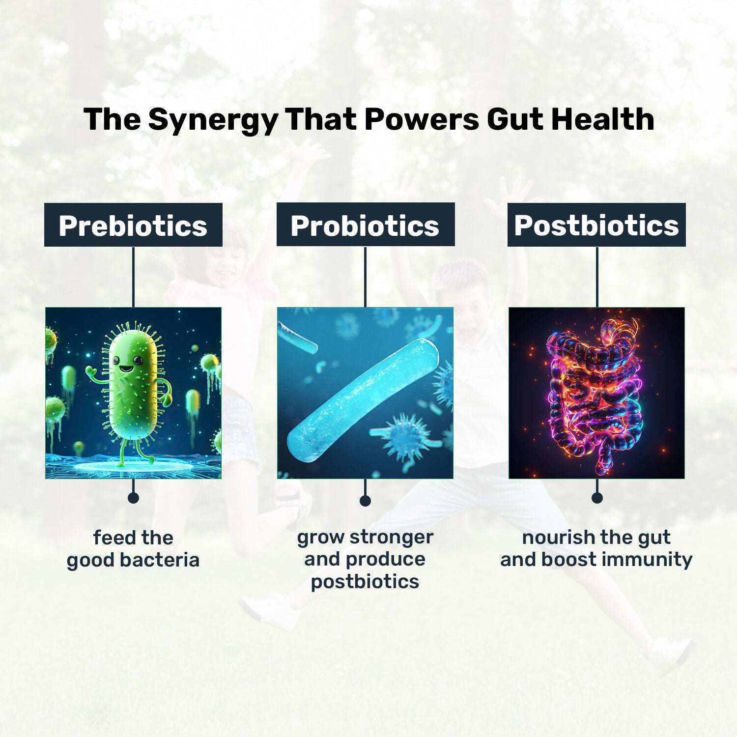 Miduty Probiotics+ Kids - Pre, Pro & Postbiotic, 6B CFU, Sunfiber, Butyrate – Gut & Immune Support - Distacart
