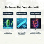 Thumbnail for Miduty by Palak Notes Probiotics+ Kids