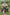download (1)