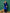 Lyush Girl Royal Blue Velvet Emb Straight Kurta With Pants - Distacart