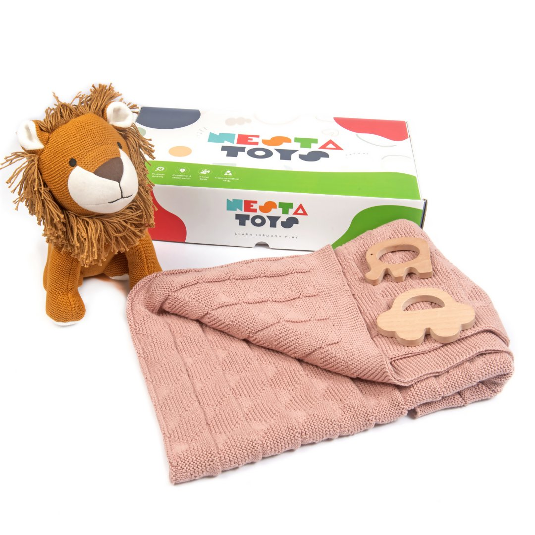 New Born Gift - Blanket, Lion, Elephant Teether and Car Teether 1