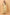 Vedant Vastram Organza Silk Banarasi Silk Saree - Gold - Distacart