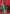 Vedant Vastram Soft Litchi Silk Paithani Silk Saree - Bottle Green - Distacart