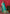 Vedant Vastram Soft Litchi Silk Paithani Silk Saree - Seegreen - Distacart
