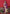 Vedant Vastram Soft Litchi Silk Paithani Silk Saree - Wine - Distacart